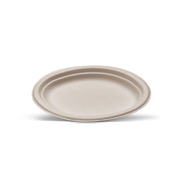 Unbleached Sugarcane Oval Plate 500pc/ctn Pac trading