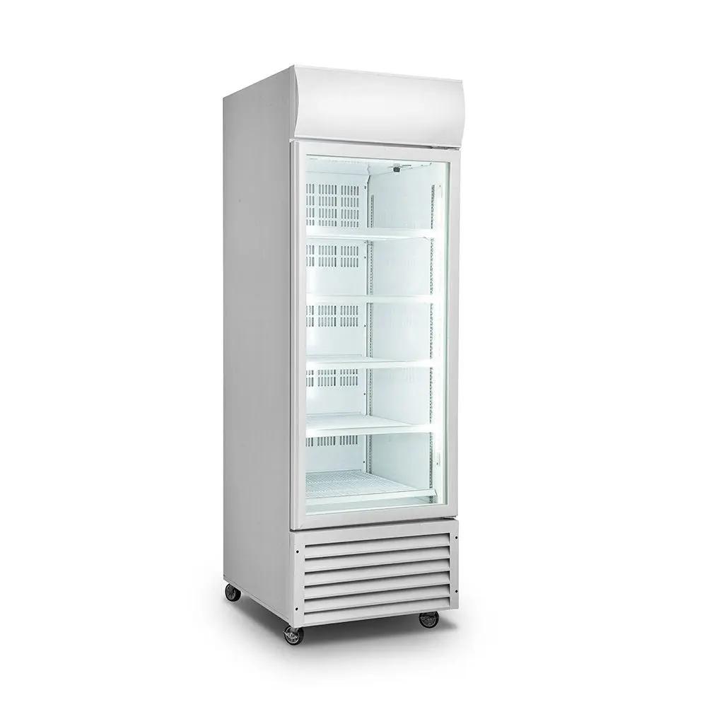 Single Glass Door Colourbond Upright Drink Fridge - LG-370GT FED