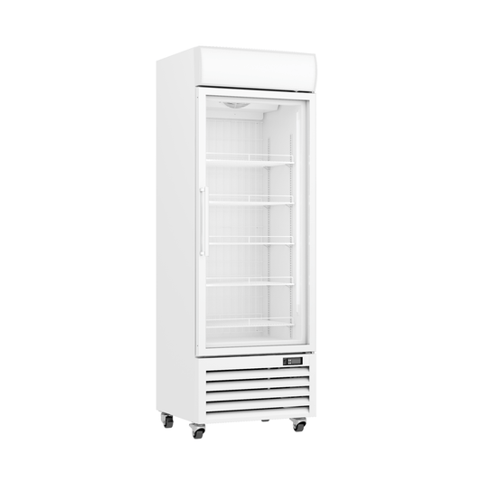 Upright Single Glass Door Freezer LG-400PF