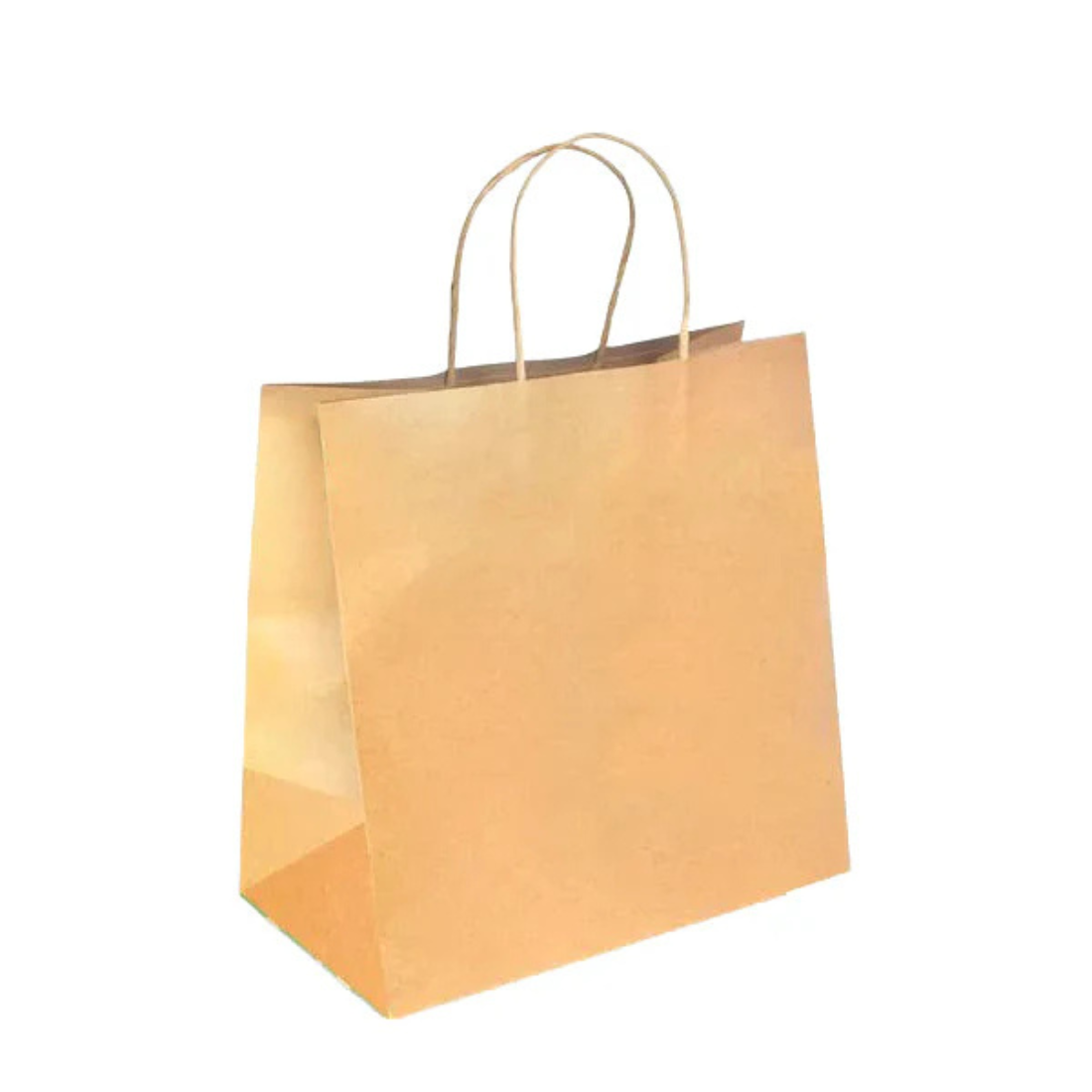 PakMax Large Twist Handle Kraft Paper Bags - RPRR-120-L